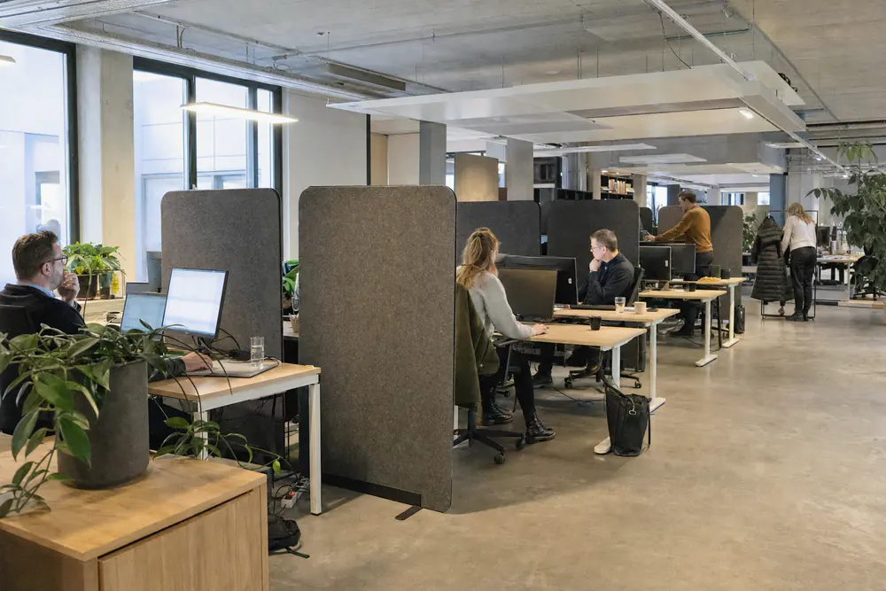 Vrijstaande akoestische scheidingswanden van grijs vilt tussen groepen werkplekken